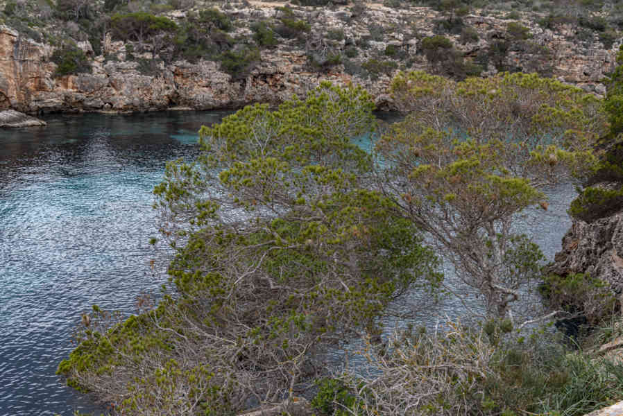 Mallorca - Llucmajor 31 - Cala Pi.jpg